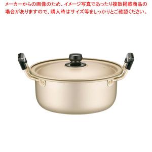 【まとめ買い10個セット品】アカオ しゅう酸 実用鍋(硬質) 20cm｜meicho