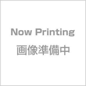龍治 ステンカラー 牛刀 27cm ステンレス