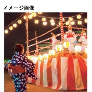 のれん 旗 防炎紅白幕トロピカル 【 キャンセル/返品不可 】｜meicho