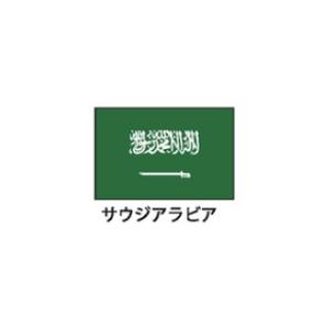 旗(世界の国旗)　エクスラン国旗　サウジアラビア　取り寄せ商品｜meicho