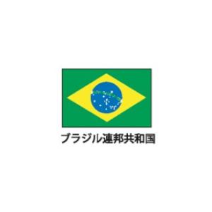 旗(世界の国旗)　エクスラン国旗　ブラジル　取り寄せ商品｜meicho