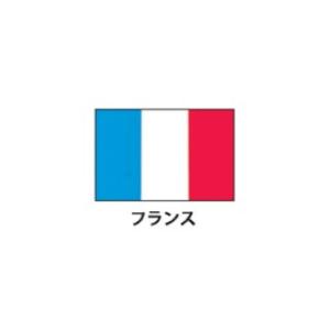 旗(世界の国旗)　エクスラン国旗　フランス　取り寄せ商品｜meicho