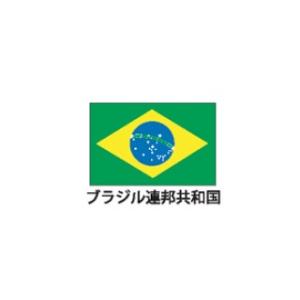 国旗 卓上旗 ブラジル 【 キャンセル/返品不可 】｜meicho