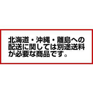 パナソニック 密封パック器専用袋 BH-951...の詳細画像1
