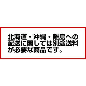 フジマック 全自動立体炊飯機 ガス式 FRCP...の詳細画像1