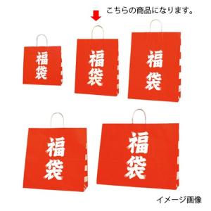 【まとめ買い10個セット品】福袋 32×11.5×41 50枚 61-312-1-2 【店舗什器 小物 ディスプレー 店舗備品】｜meicho