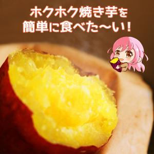 めざましテレビ 秋の謎グッズをココ調 おいもほ...の詳細画像1