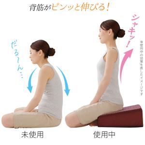 姿勢補整 クッション 座布団 座椅子 低反発 ...の詳細画像2