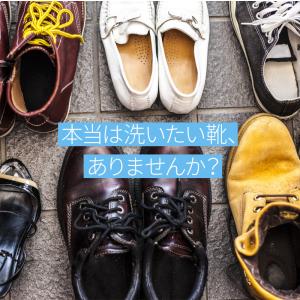 スニーカー クリーナー 靴 シューズ シャンプ...の詳細画像2