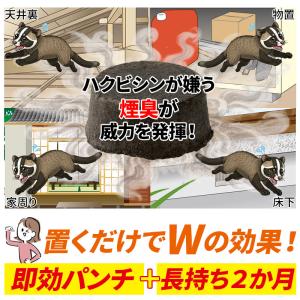 Keep Away ハクビシン、バイバイ! イ...の詳細画像2