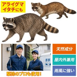 Keep Away ハクビシン、バイバイ! イ...の詳細画像3