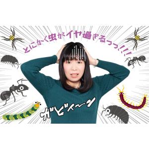 Keep Away 虫よけテープ 虫除けシール...の詳細画像1