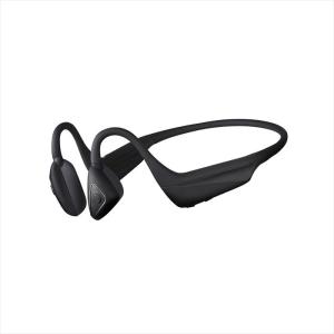 ピーちゃん 美品 SONY ワイヤレスイヤフォン WF-1000XM3 WF-1000XM3 | ヘッドホン | ソニー