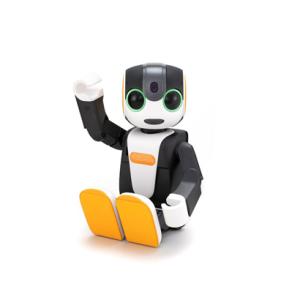 【未使用】ロボホン純正キャリングケース SR-CA05 オレンジ/黒 y-kojima_4974019106007