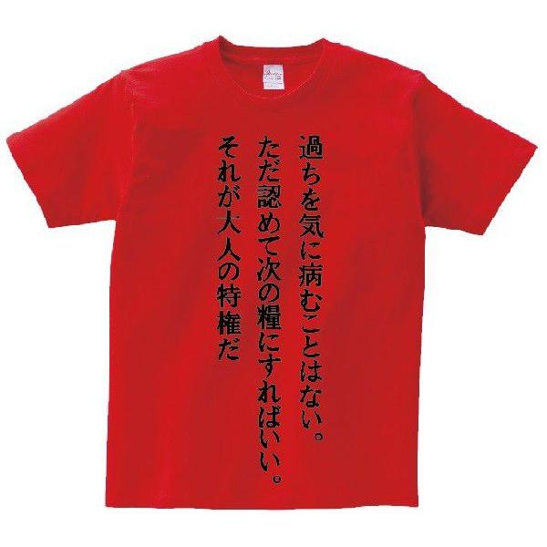 「過ちを気に病むことはない。ただ認めて次の糧にすればいい。それが大人の特権だ」・アニ名言Tシャツ　ア...