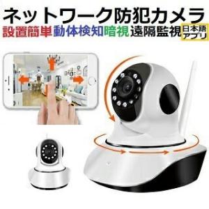IDIS 防犯・監視機器 屋外ハウジング一体型ネットワークカメラ DC