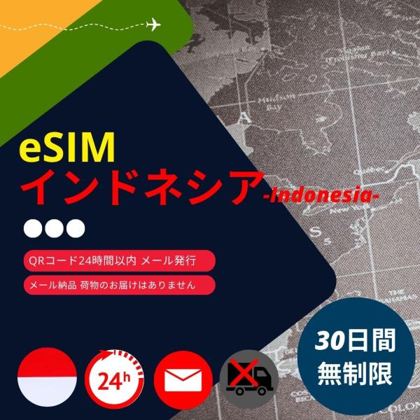 【インドネシアeSIM】メールで納品完了(24時間以内・荷物発送無し) 30日間 データ通信専用 (...