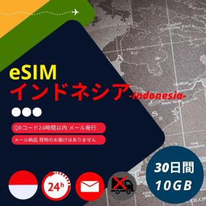インドネシア eSIM 30日間 10GB/30日 Telkomsel・XL 正規品 データ通信専用