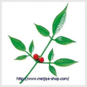 南天　Ｎ−２　小　100本入り