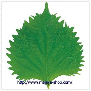 グルメシート　大葉　丸　１００枚包装