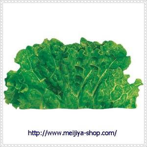 グルメシート　グリーンリーフ　丸　（１００枚包装）×１袋