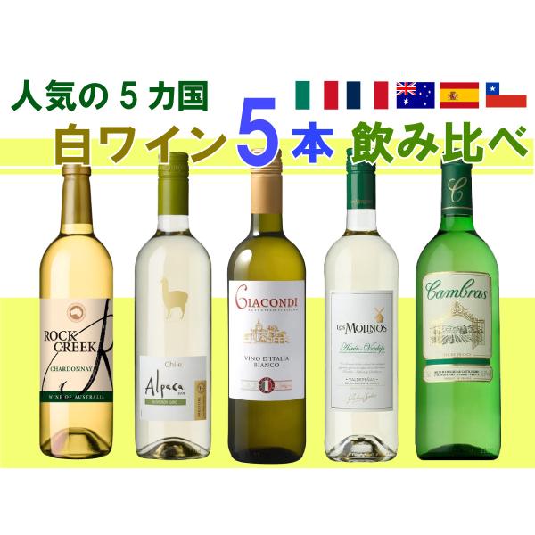 白ワイン 飲み比べ 750ml 5本 人気 5カ国白ワイン