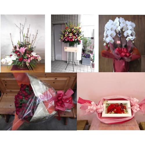 徳島市周辺にのみ12000円【税、送料込み 12０００円】の商品を配達