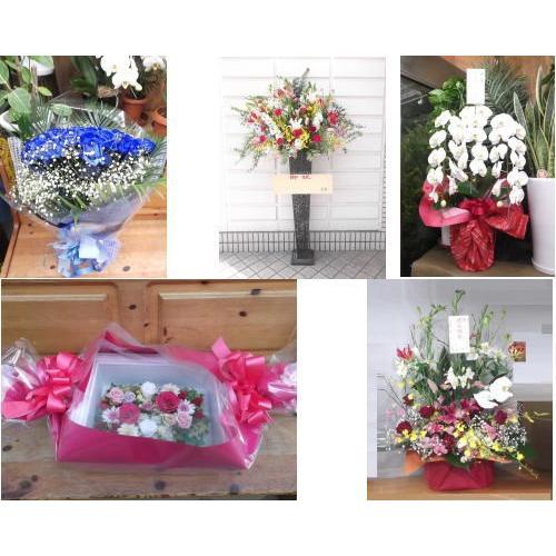 徳島市周辺に１３０００円【税、送料込み１３０００円】の商品を配達