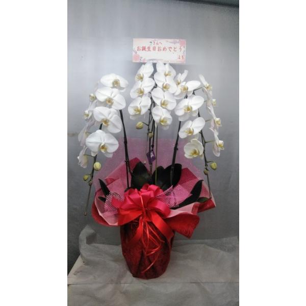 徳島市内周辺に15000円【税、送料込み１5000円】の商品を配達