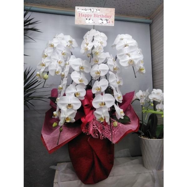 ２５０００円【税、送料込み２５０００円】の商品配達を注文