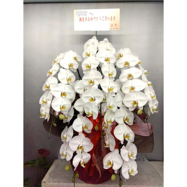 徳島県内にのみ税込み３００００円の商品配達を注文