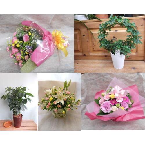 ※徳島市周辺に　３5００円(税込み3850円の商品をお届け！　（生花アレンジ・花束・鉢植えなど）