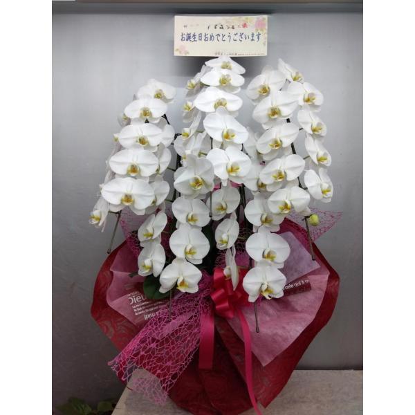 徳島市周辺に【税送料込み２８０００円】の商品配達を注文