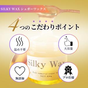 ブラジリアンワックス スターターセット 450...の詳細画像2
