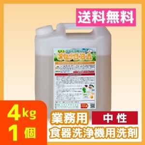 業務用食器洗浄機リンス 10kg 1個 中性 送料無料 食洗機 キデナD : 名