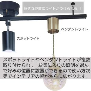 ダクトレール 1m ライティングレール レール...の詳細画像5