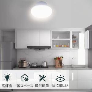 小型シーリングライト 4.5畳 led小型シー...の詳細画像2