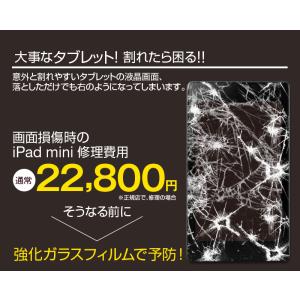 ipad ブルーライトカット フィルム 2枚セ...の詳細画像3