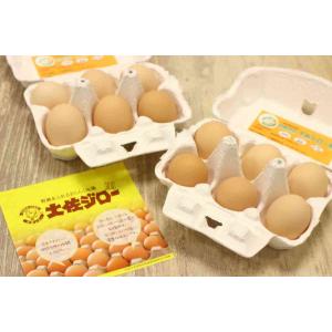 10個入】名古屋コーチンの平飼いたまご（MS〜L） : 五頭山麓 ひよころ