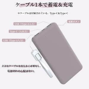 モバイルバッテリー 20000mAh iPho...の詳細画像3