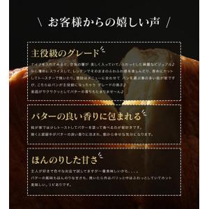 お中元 デニッシュ食パン プレーン 1斤 2個...の詳細画像5