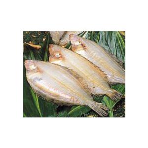 福井県産　上庄さといも　10kg 上庄の里芋 10kg入 福井県大野市産里いも(サトイモ) 特産品 里イモ