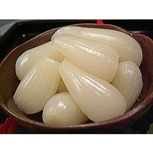 らっきょう 薄甘酢らっきょう漬け 200g分入(200g×1袋)袋入包装 福井産ラッキョウ 三里浜らっきょ 化学調味料無添加 国産 花らっきょう 花らっきょ