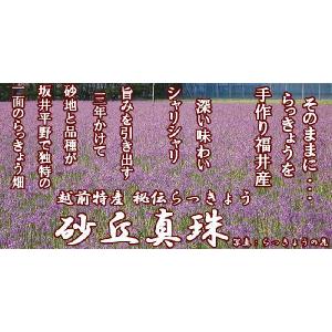 らっきょう 薄甘酢らっきょう漬け 1kg 福井...の詳細画像3