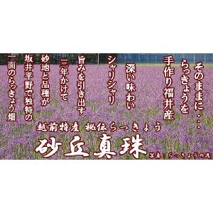 塩らっきょう 1kg 三里浜産 3年掘 小粒 ...の詳細画像3