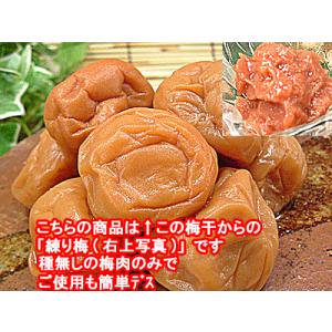 練り梅 梅干し わけあり品をねり梅にして 練り梅(梅肉)１０kg入 業務用にも 福井県産特産品 梅干 訳あり品を使用 昔ながらの梅干し 塩漬けでしょっぱい ねり梅｜meisankobo