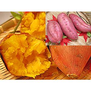 とみつ糖 蜜芋 通販 5kg入 福井県で種子島産 さつまいも...