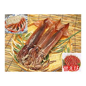 するめいか ５杯 日本海直送 甘エビ ２５０ｇ セット 船上急速冷凍で鮮度抜群 生お刺身用に 新鮮冷凍スルメイカ 甘えびセット 通販 Antoniodomingo Es