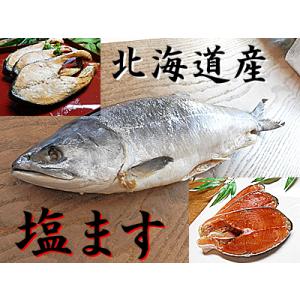 塩ます １尾入 L 塩鱒 塩マス 塩 ます 塩 マス塩 鱒 ます寿し