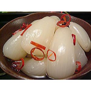 国産 福井県産ラッキョウ 土付きらっきょう 1...の詳細画像3